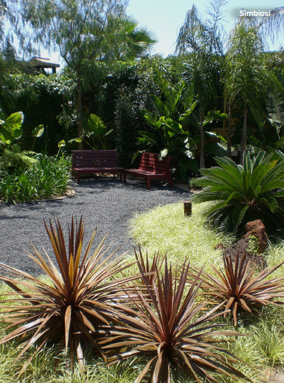 Conseils de pro pour associer vos plantes au jardin