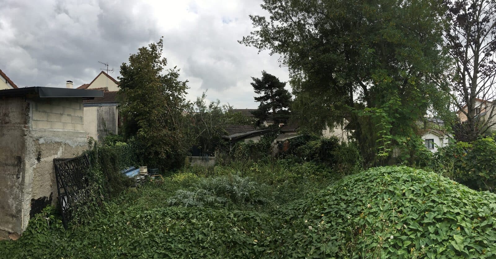 Jardin, Fresnes (94), photo 7