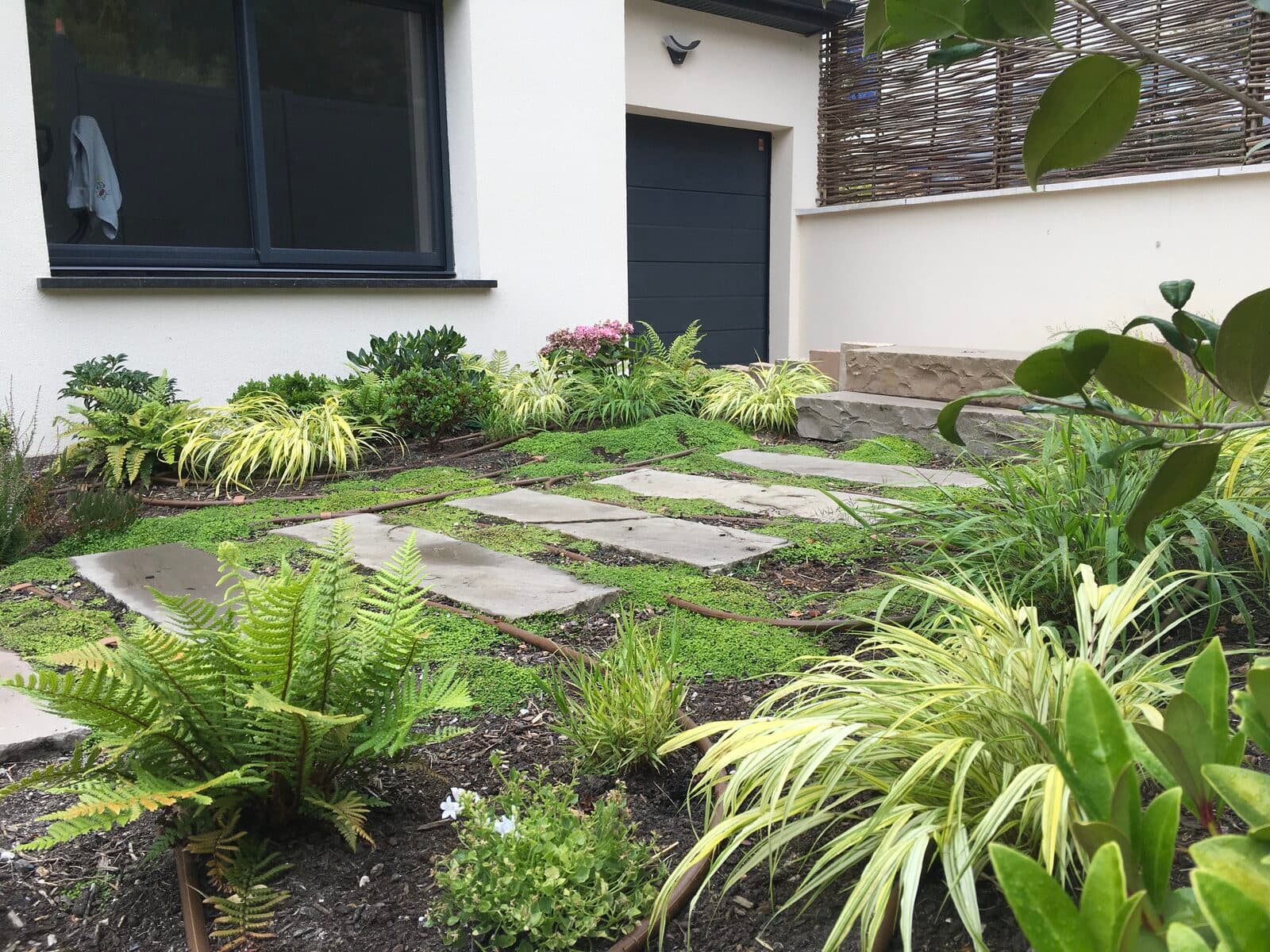 Jardin, Garches (92), photo 11