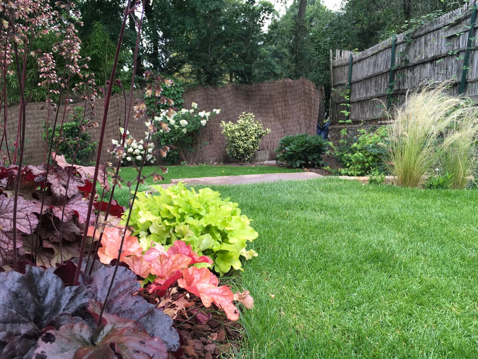 Jardin, Garches (92), photo 20