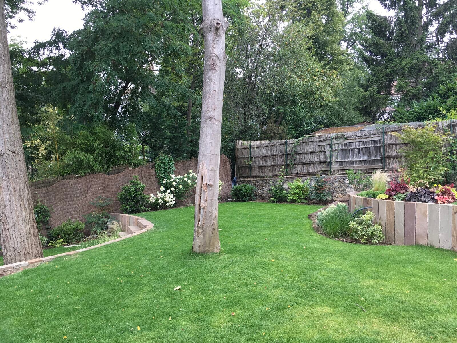 Jardin, Garches (92), photo 31