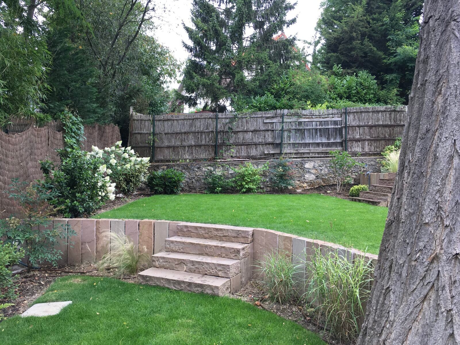 Jardin, Garches (92), photo 44