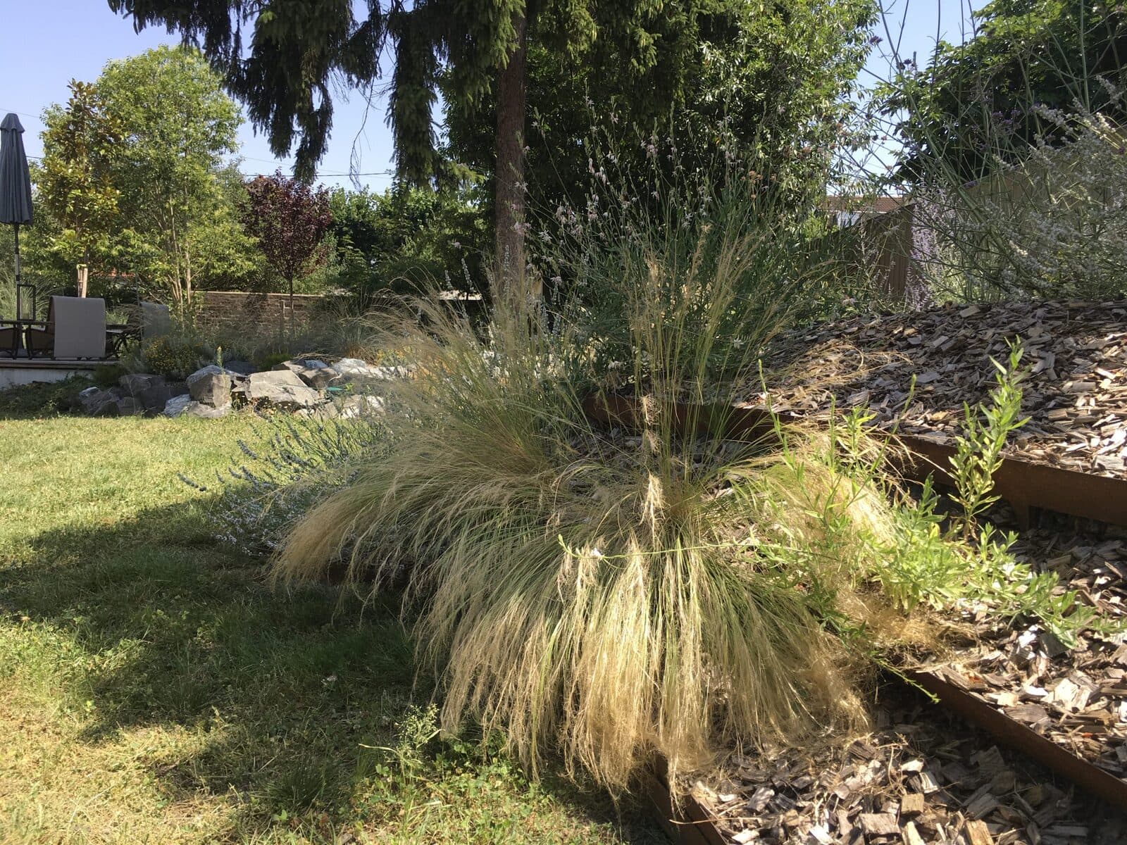 Jardin, Le Perreux-sur-Marne (94), photo 3