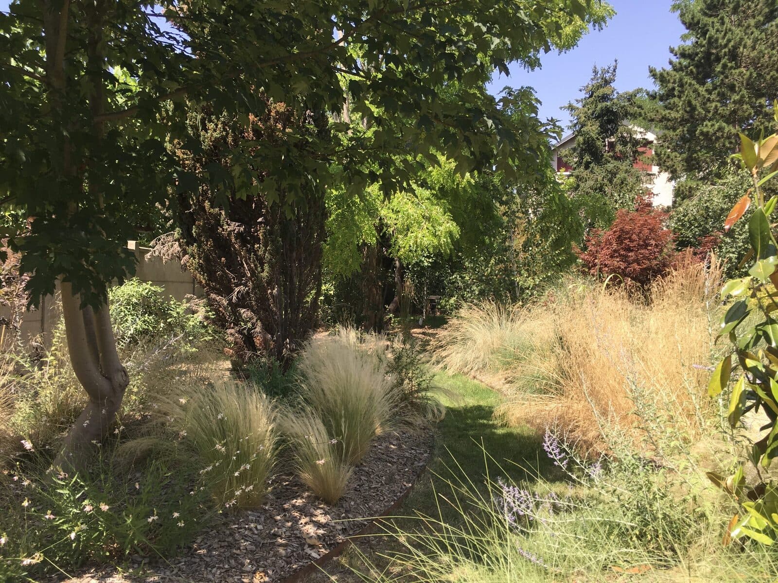 Jardin, Le Perreux-sur-Marne (94), photo 4