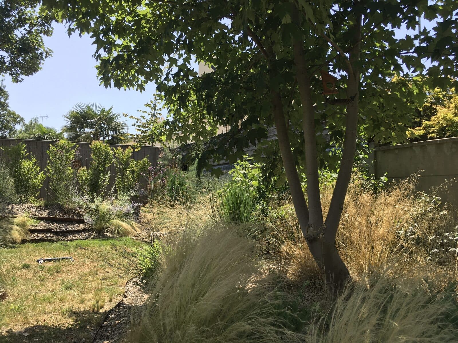 Jardin, Le Perreux-sur-Marne (94), photo 10