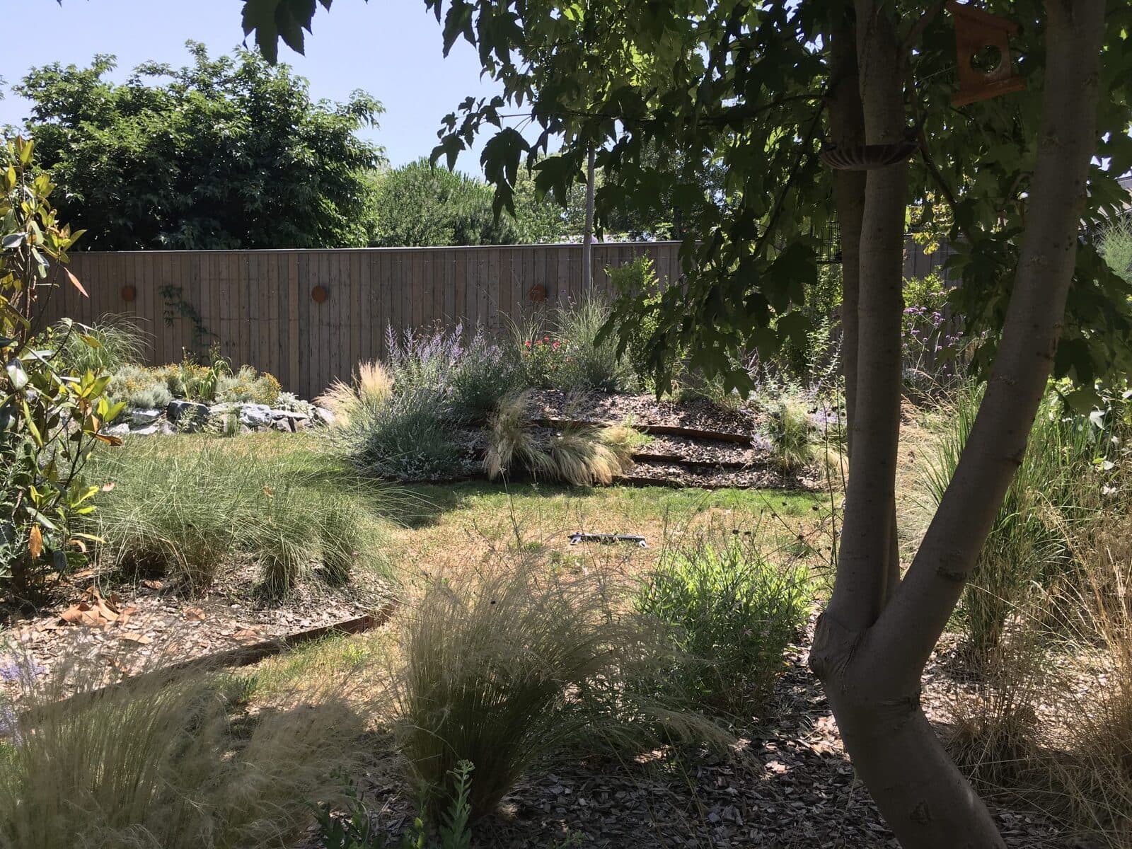 Jardin, Le Perreux-sur-Marne (94), photo 11