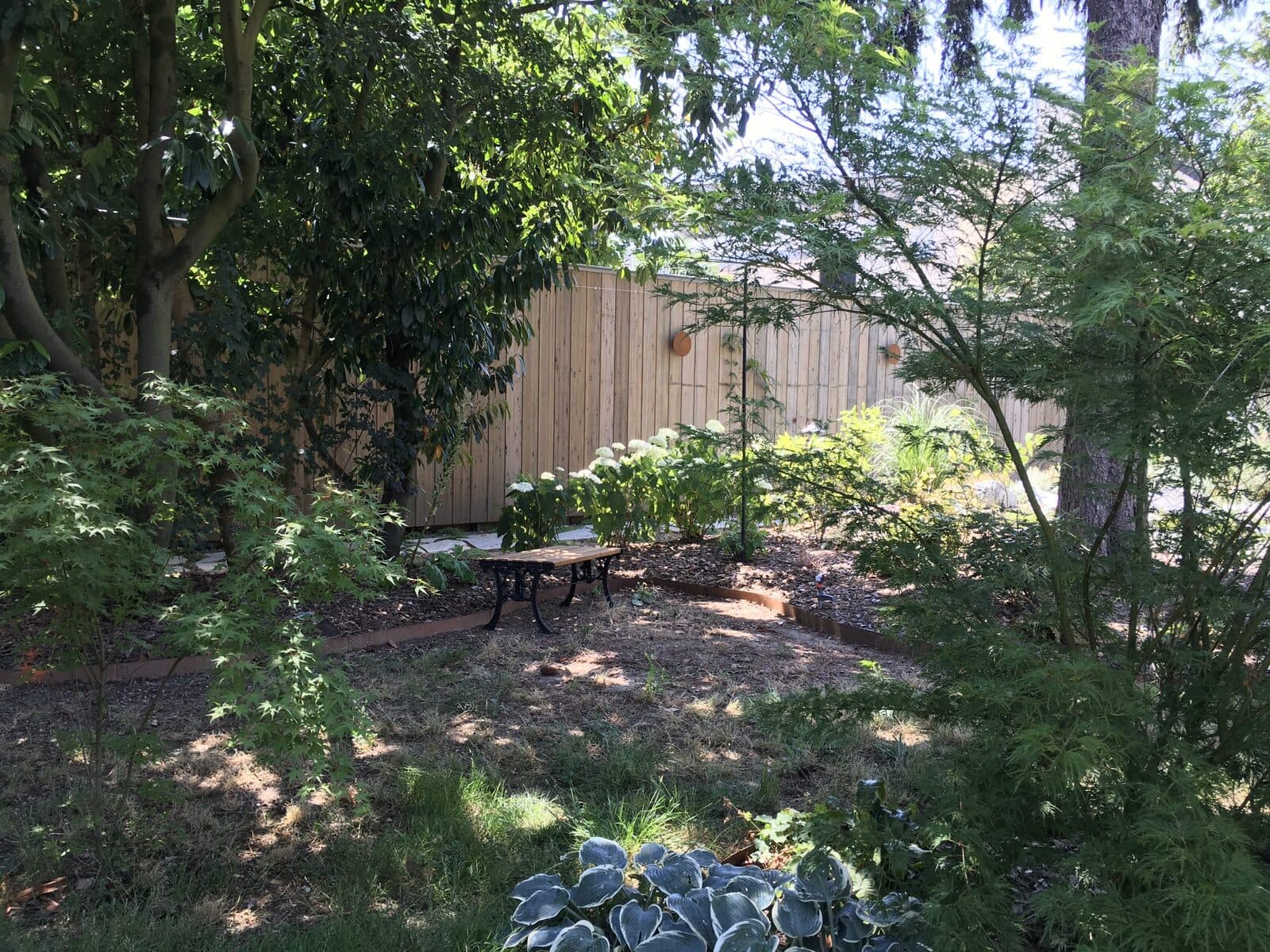 Jardin, Le Perreux-sur-Marne (94), photo 54