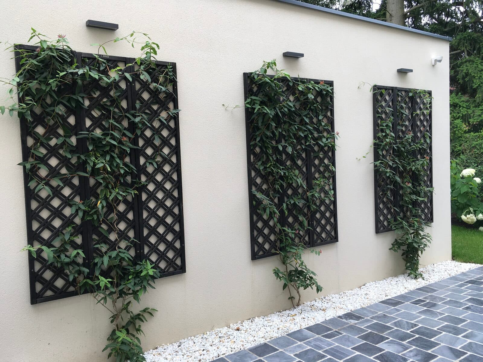 Jardin, Marly-le-Roi (78), photo 9