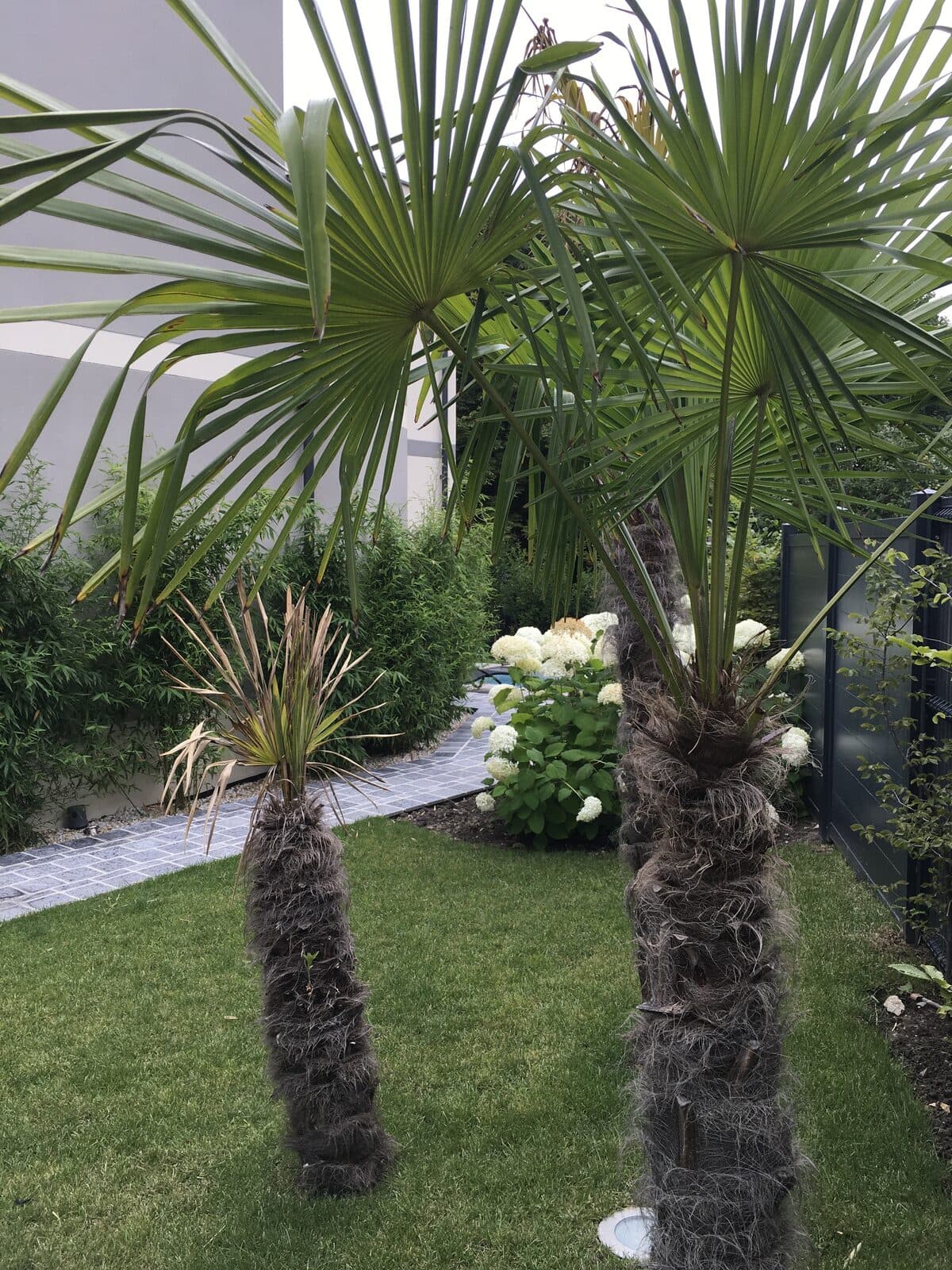 Jardin, Marly-le-Roi (78), photo 13
