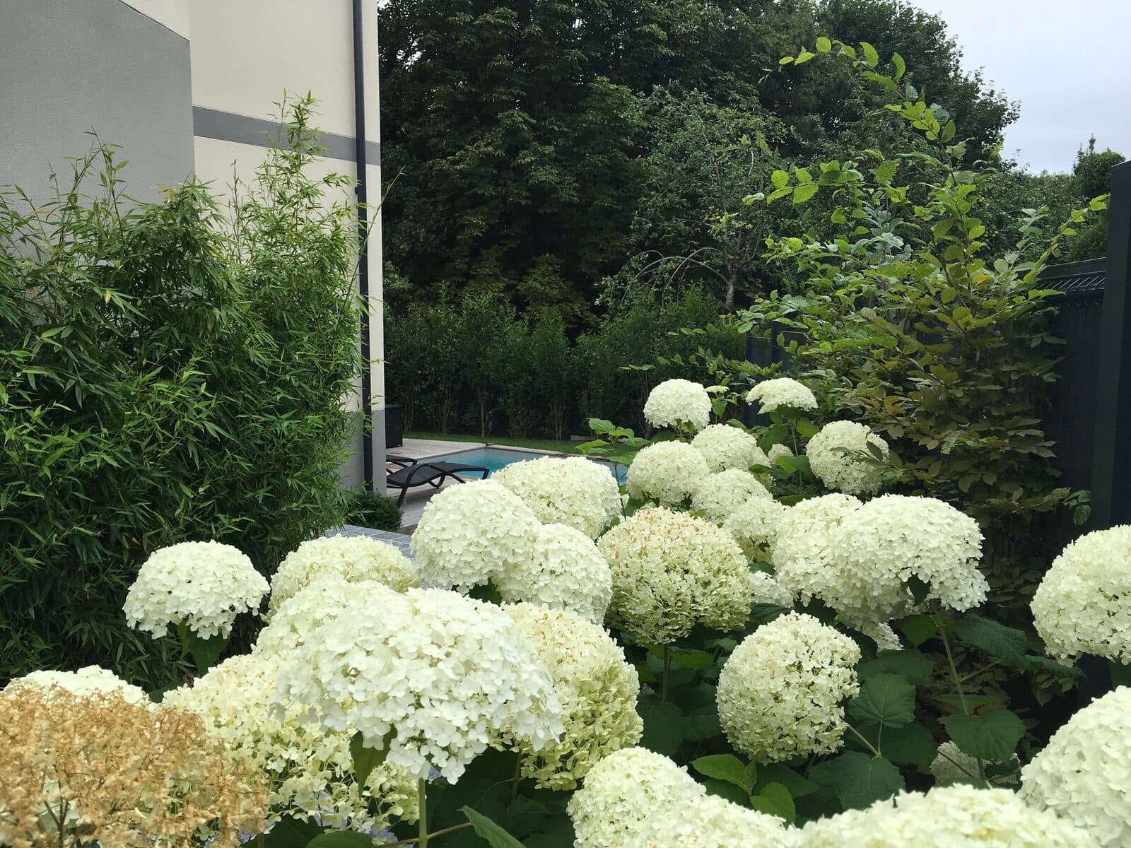 Jardin, Marly-le-Roi (78), photo 17
