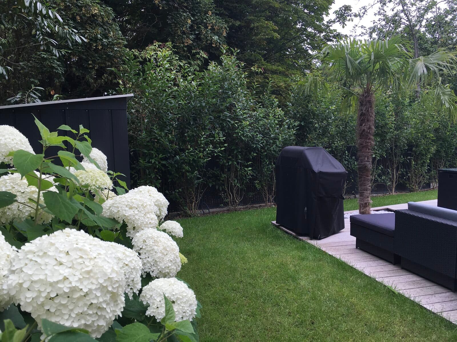 Jardin, Marly-le-Roi (78), photo 27