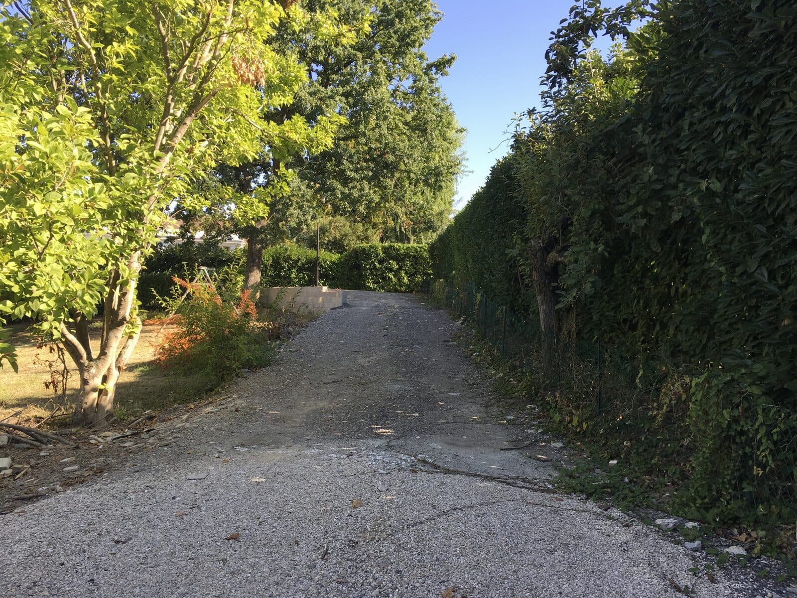 Jardin, Marly-le-Roi (78), photo 33