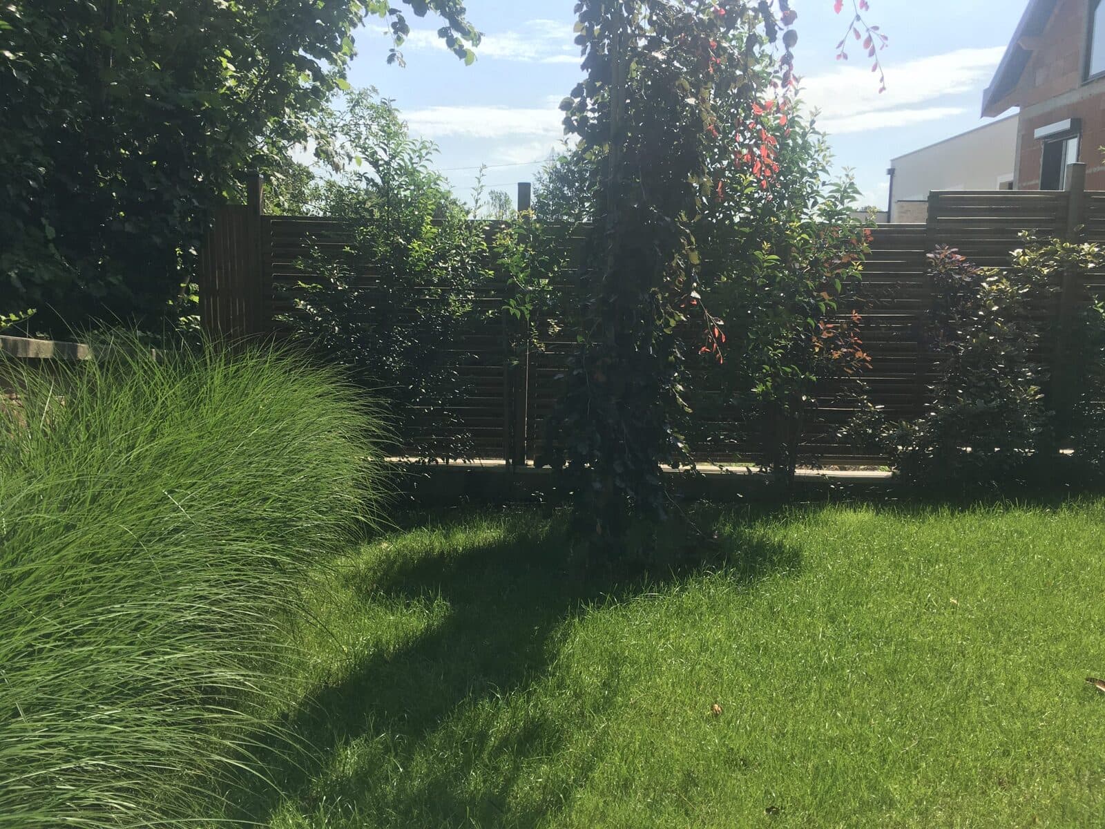 Jardin, Neuilly-Plaisance (93), photo 9