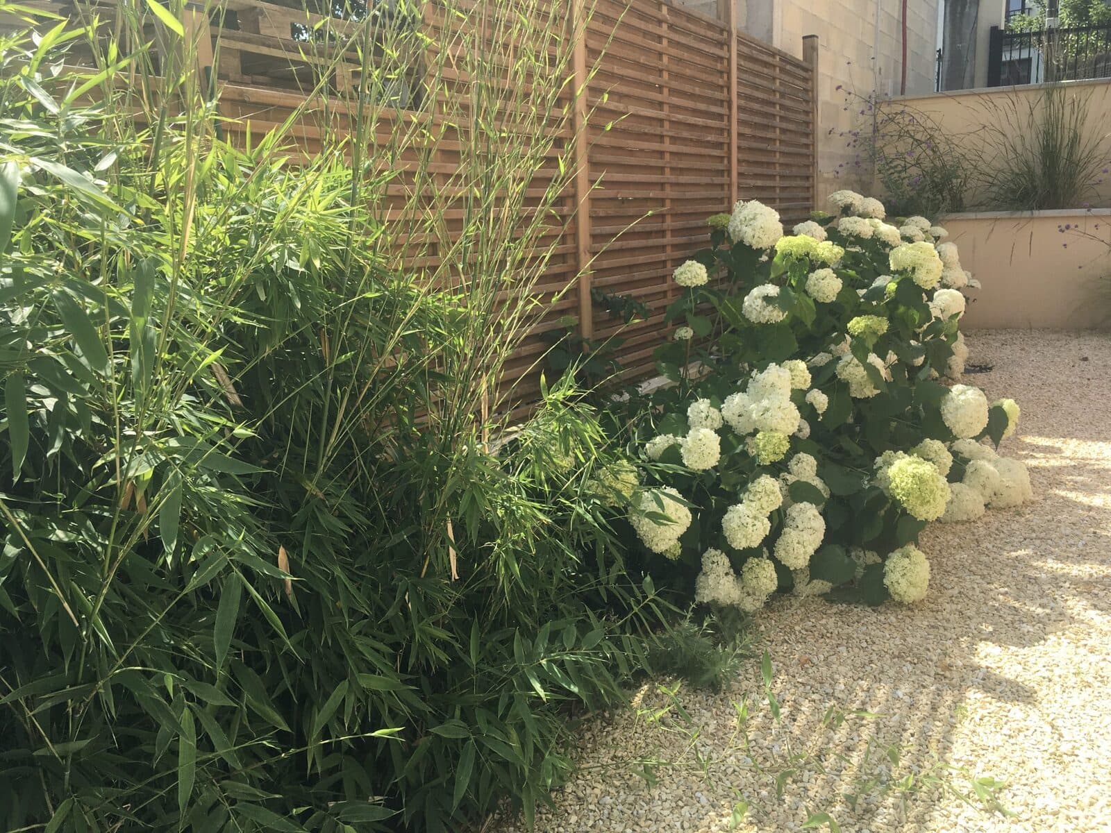 Jardin, Neuilly-Plaisance (93), photo 28