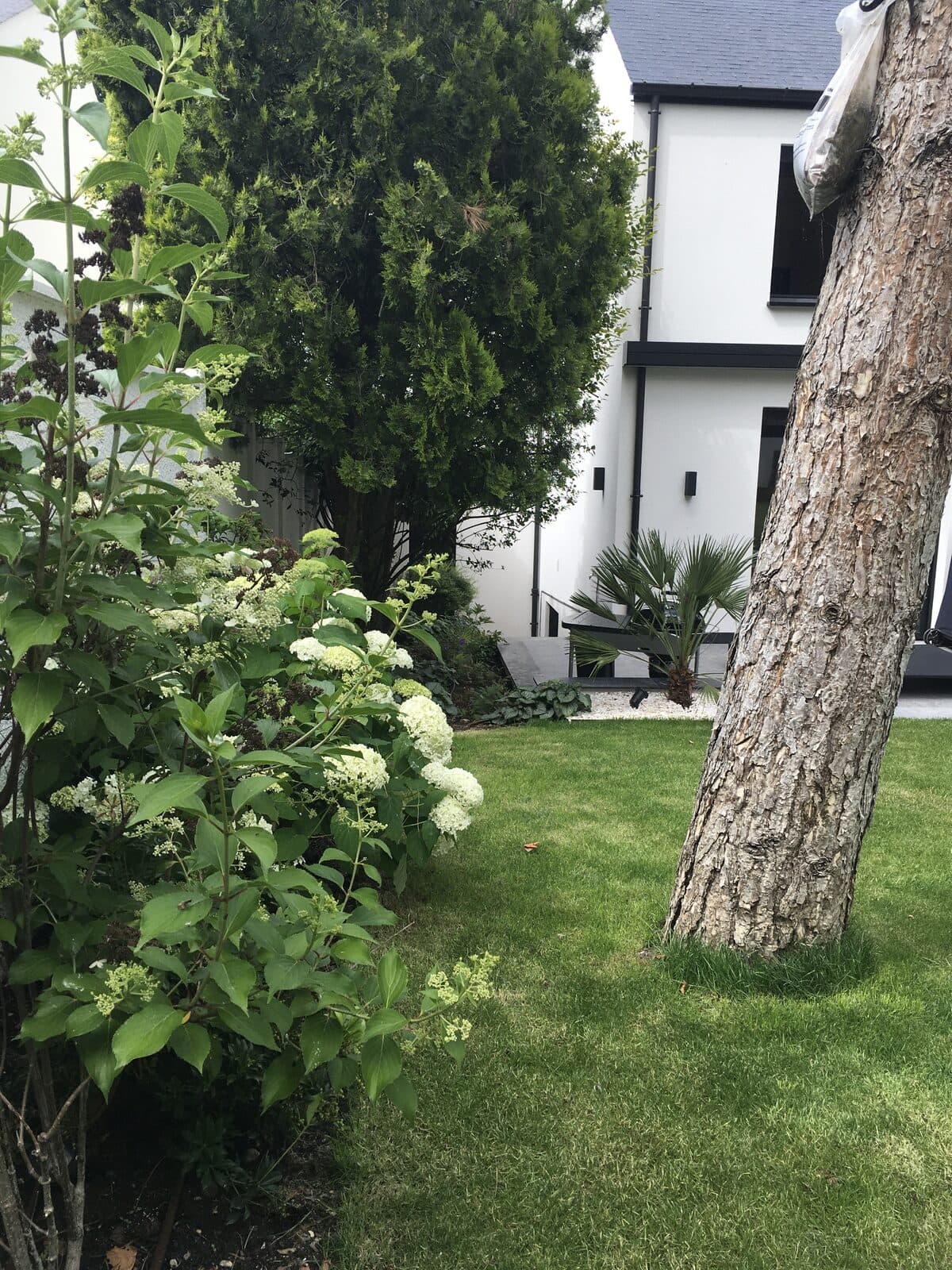 Jardin, Saint-Maur-des-Fossés (94), photo 6