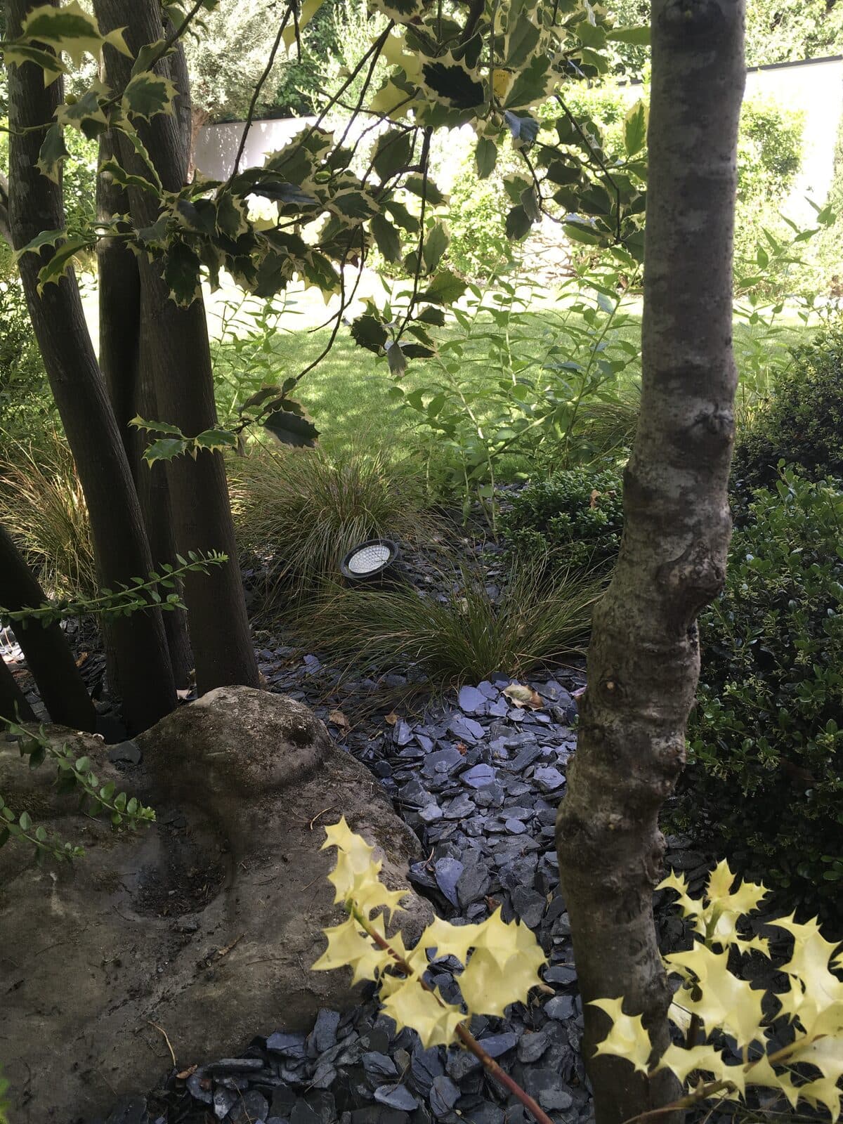 Jardin, Saint-Maur-des-Fossés (94), photo 21
