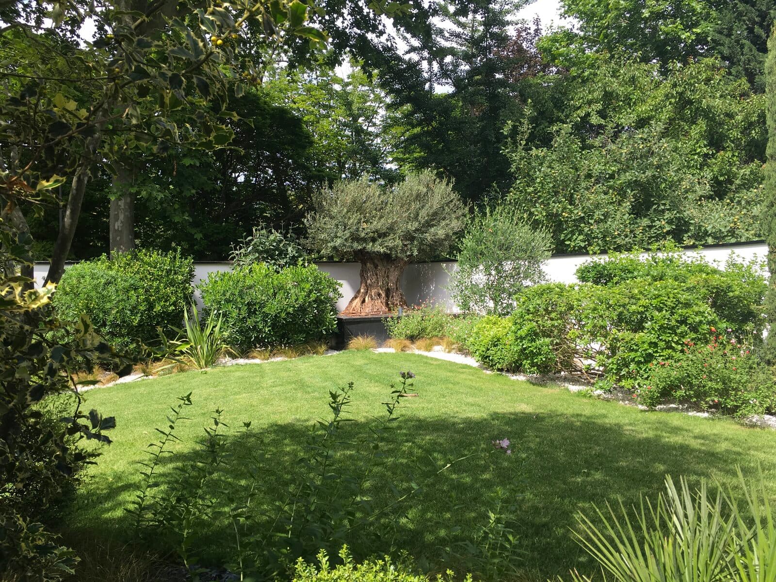 Jardin, Saint-Maur-des-Fossés (94), photo 22