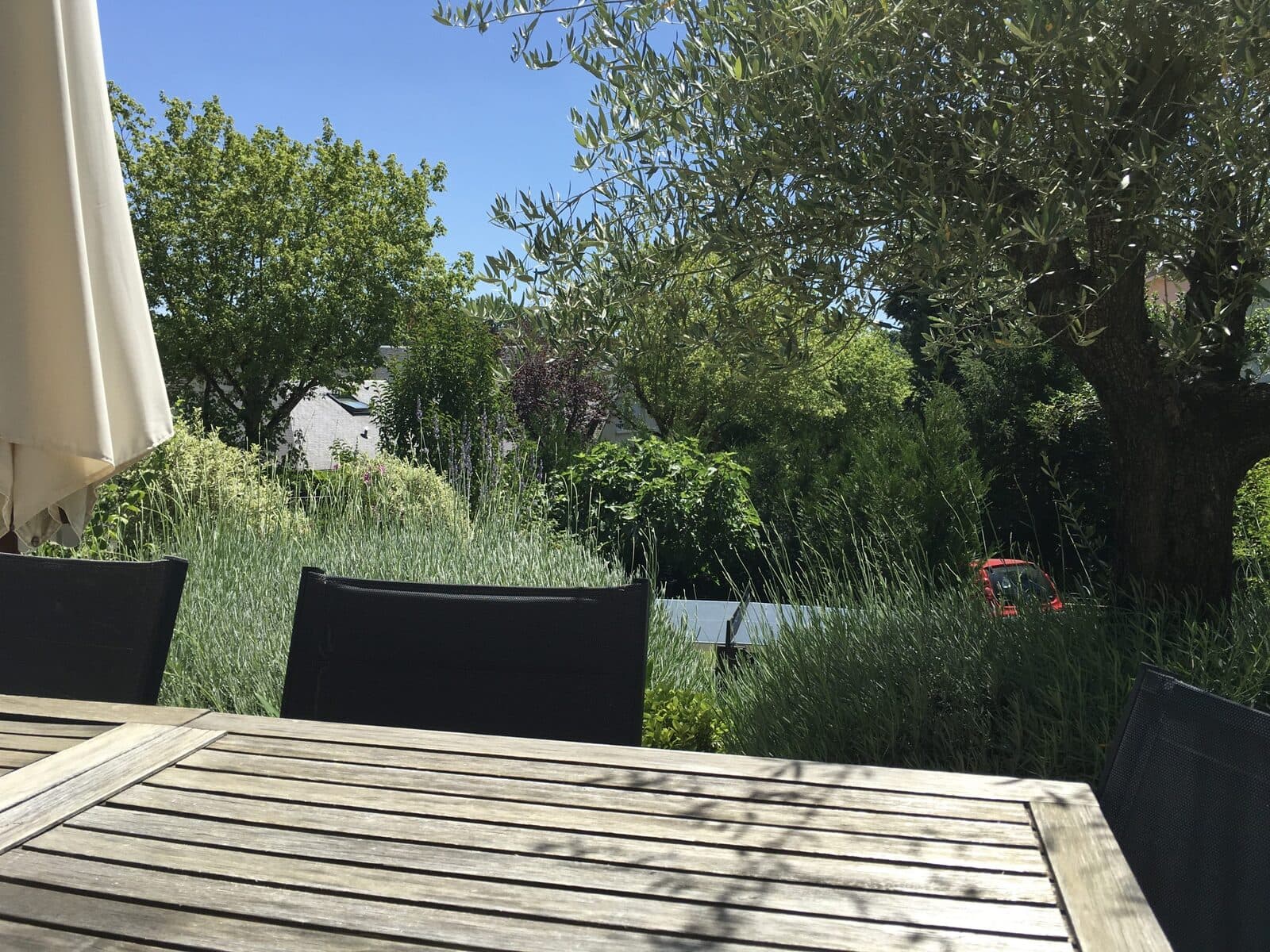 Jardin, Sceaux (92), photo 9