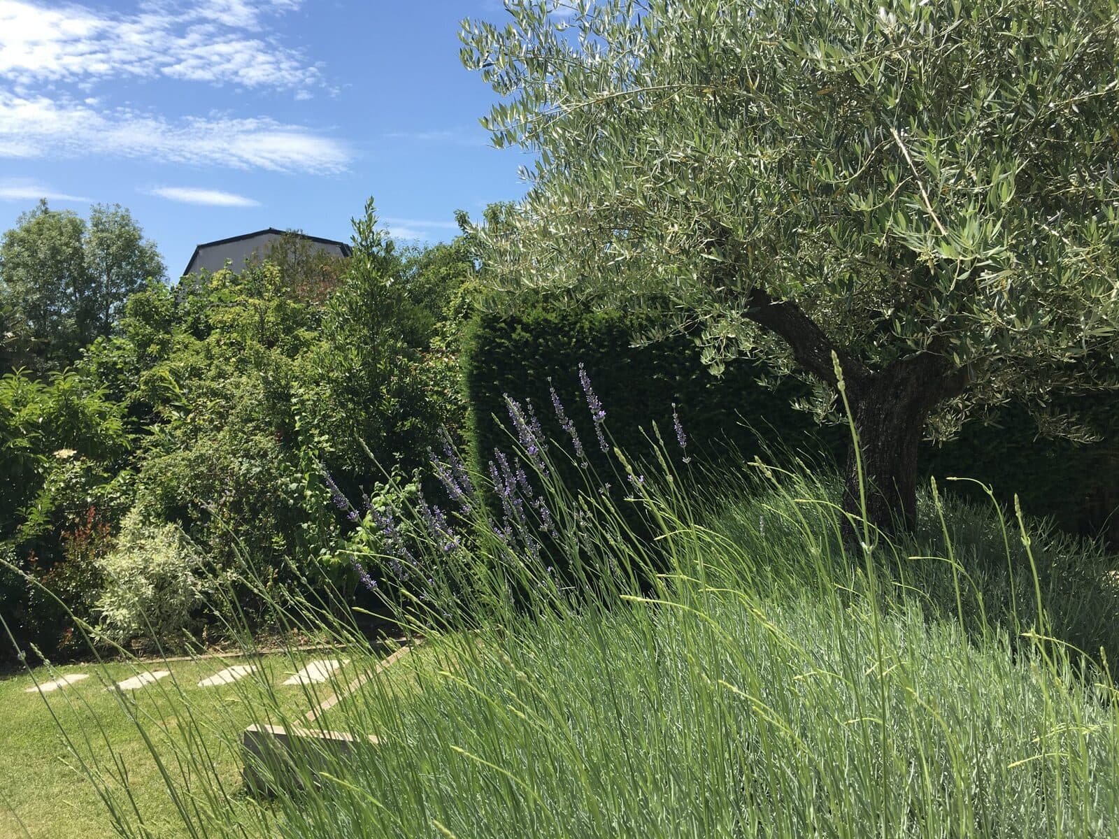 Jardin, Sceaux (92), photo 10
