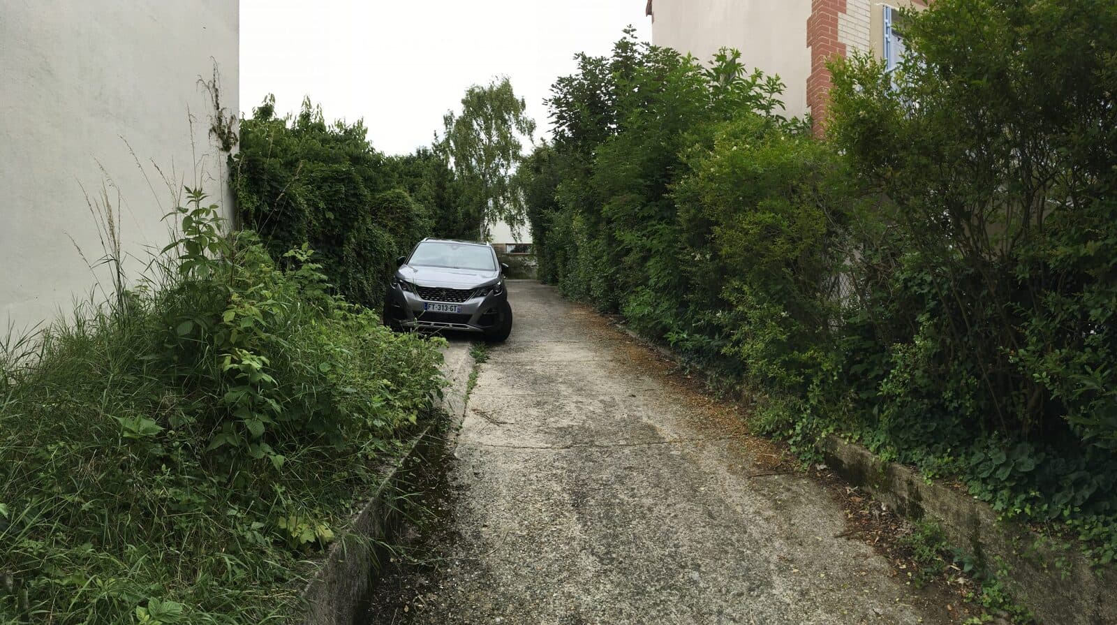 Jardin, Sèvres (92), photo 1