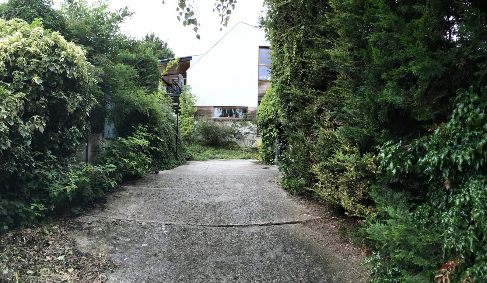 Jardin, Sèvres (92), photo 5
