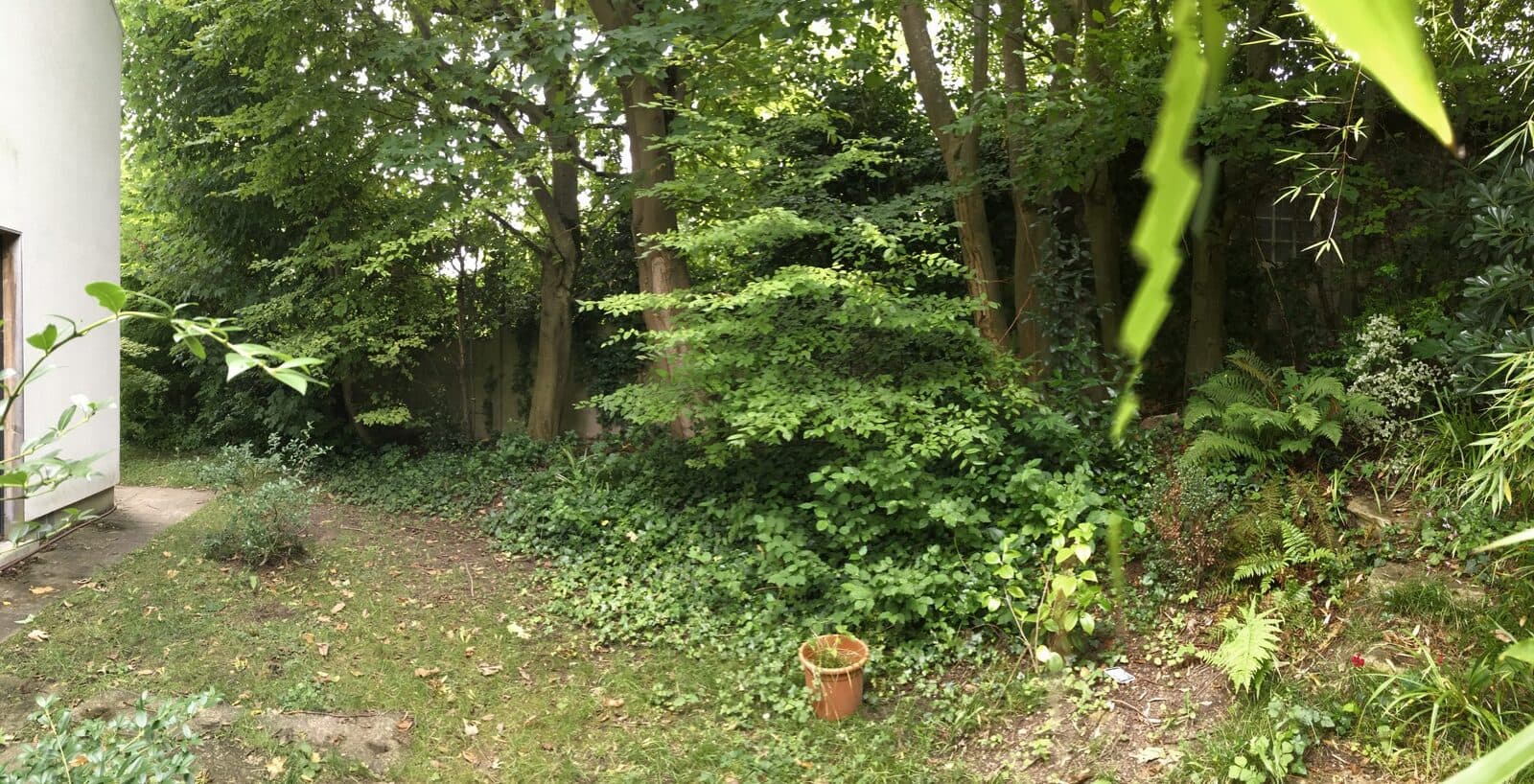 Jardin, Sèvres (92), photo 13