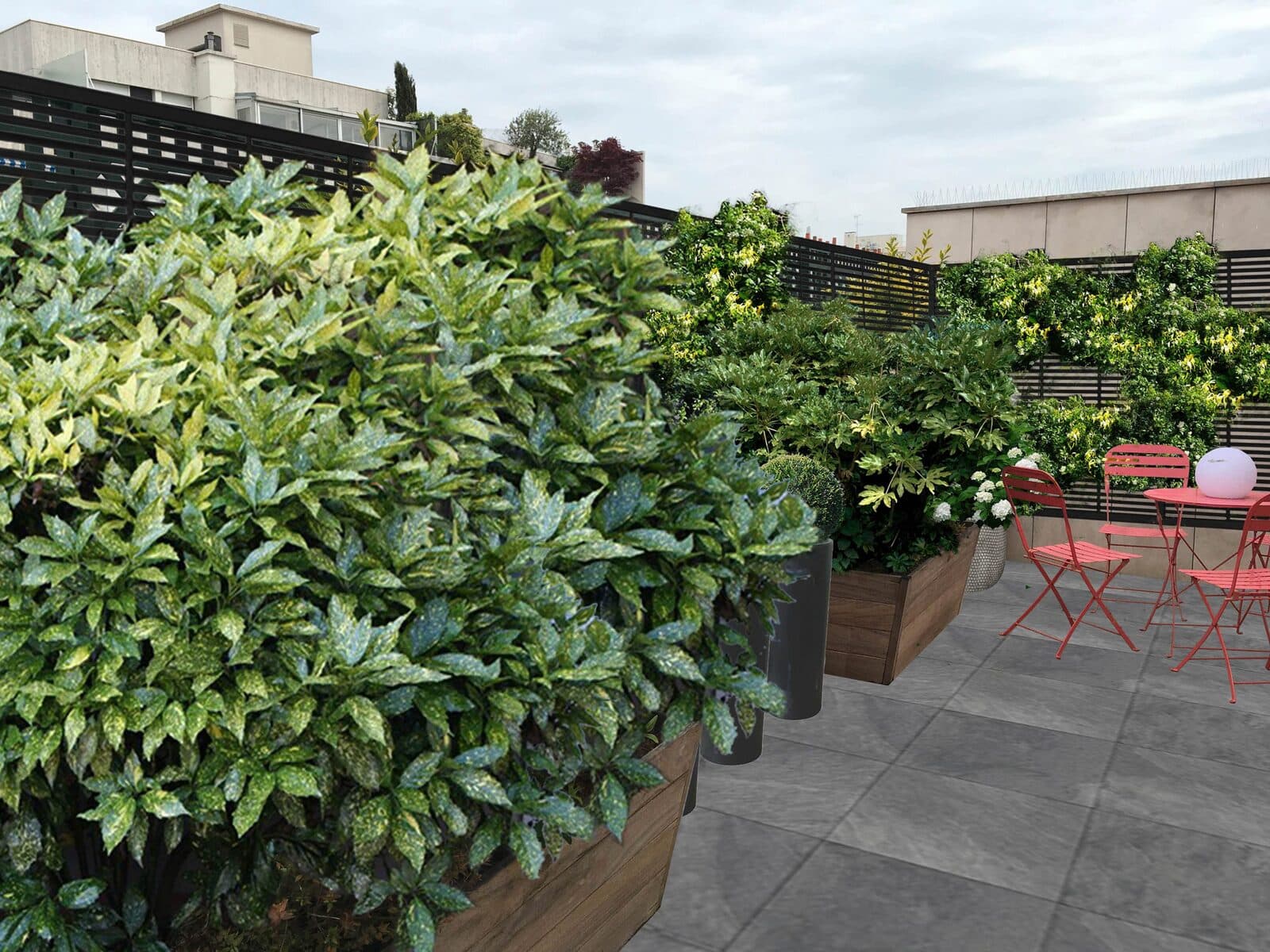 Terrasse, Paris 11 (75), photo 14