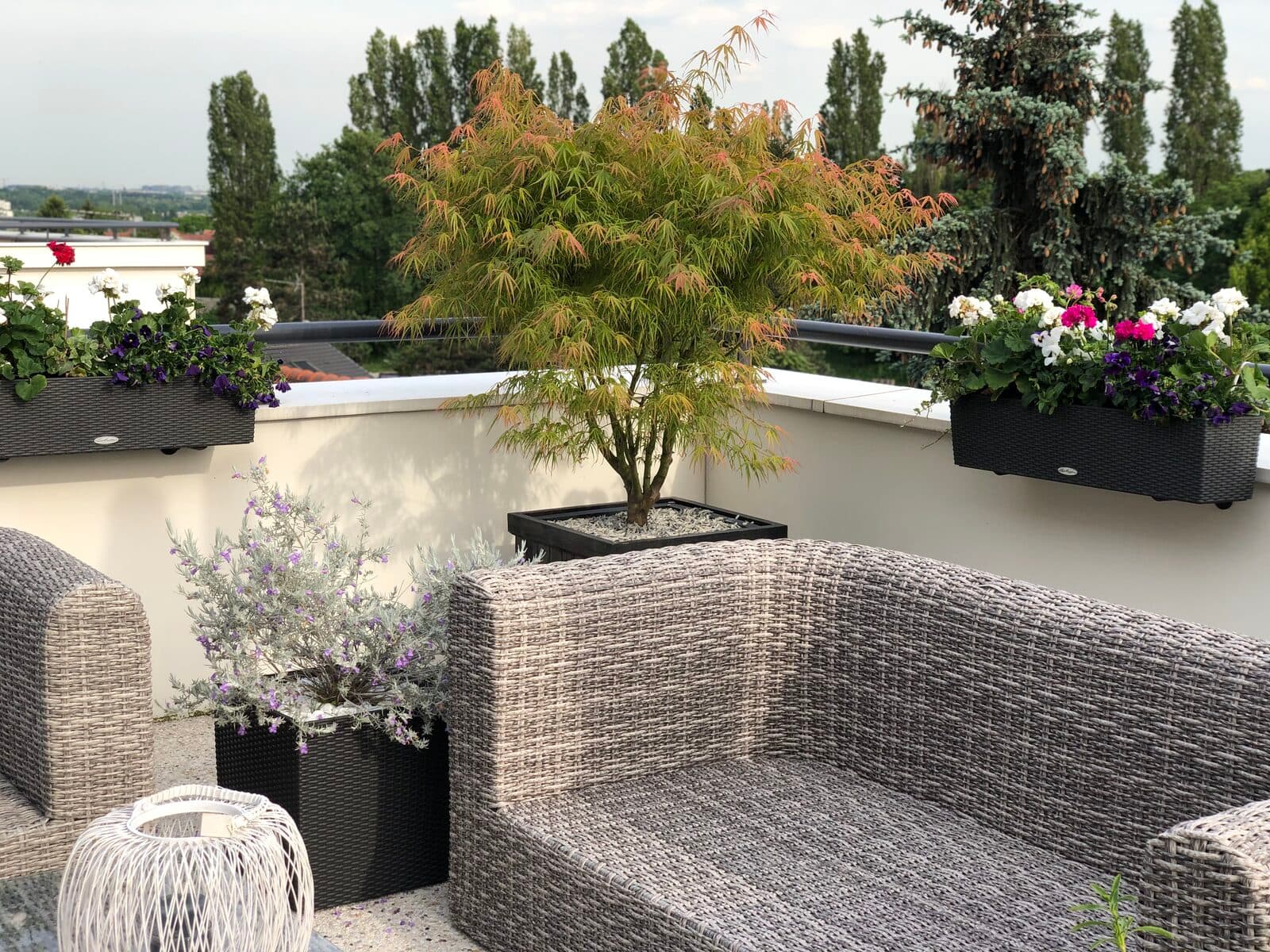 Terrasse, Châtenay-Malabry (92), photo 2