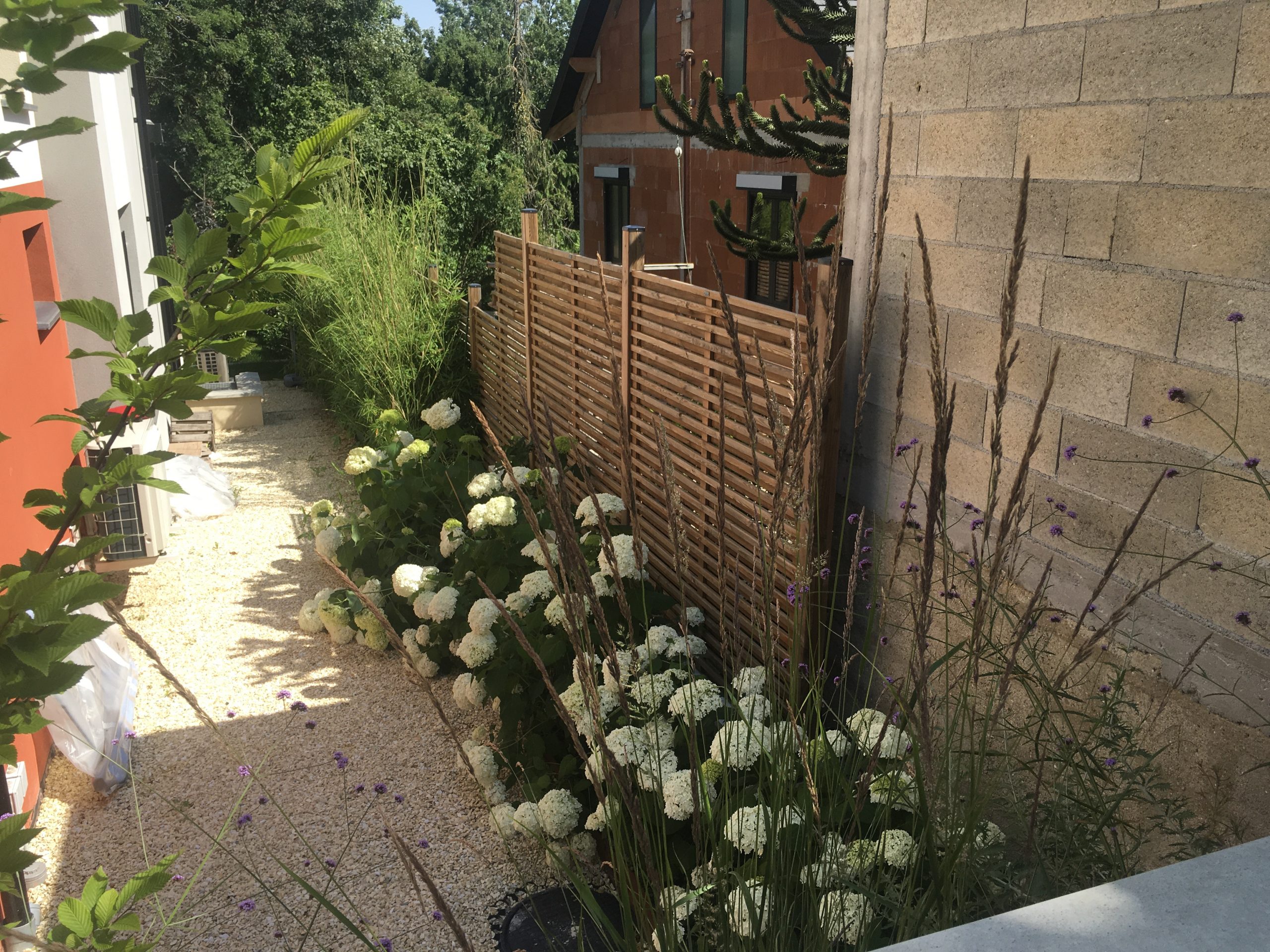 image00008