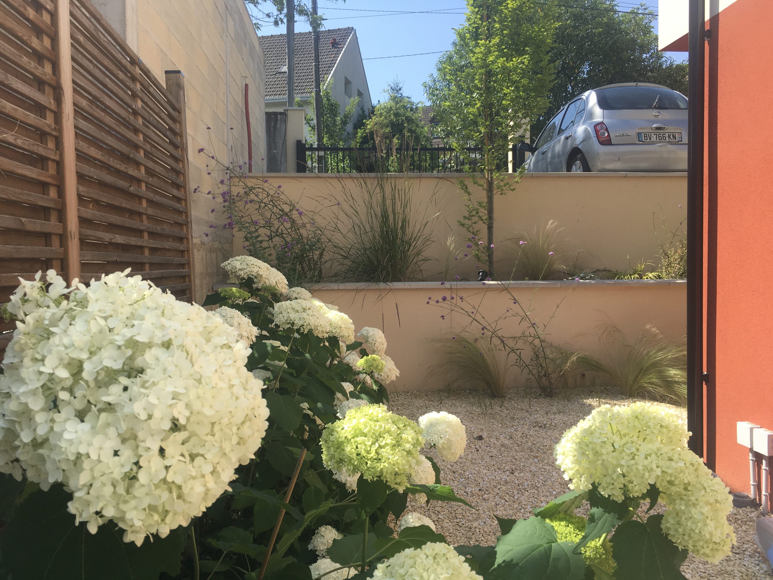 image00024