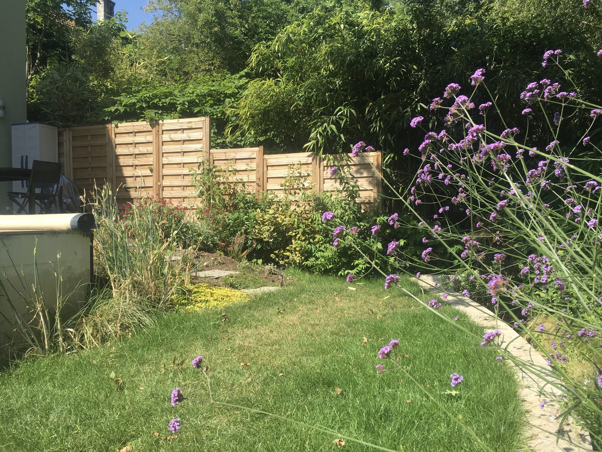 image00031