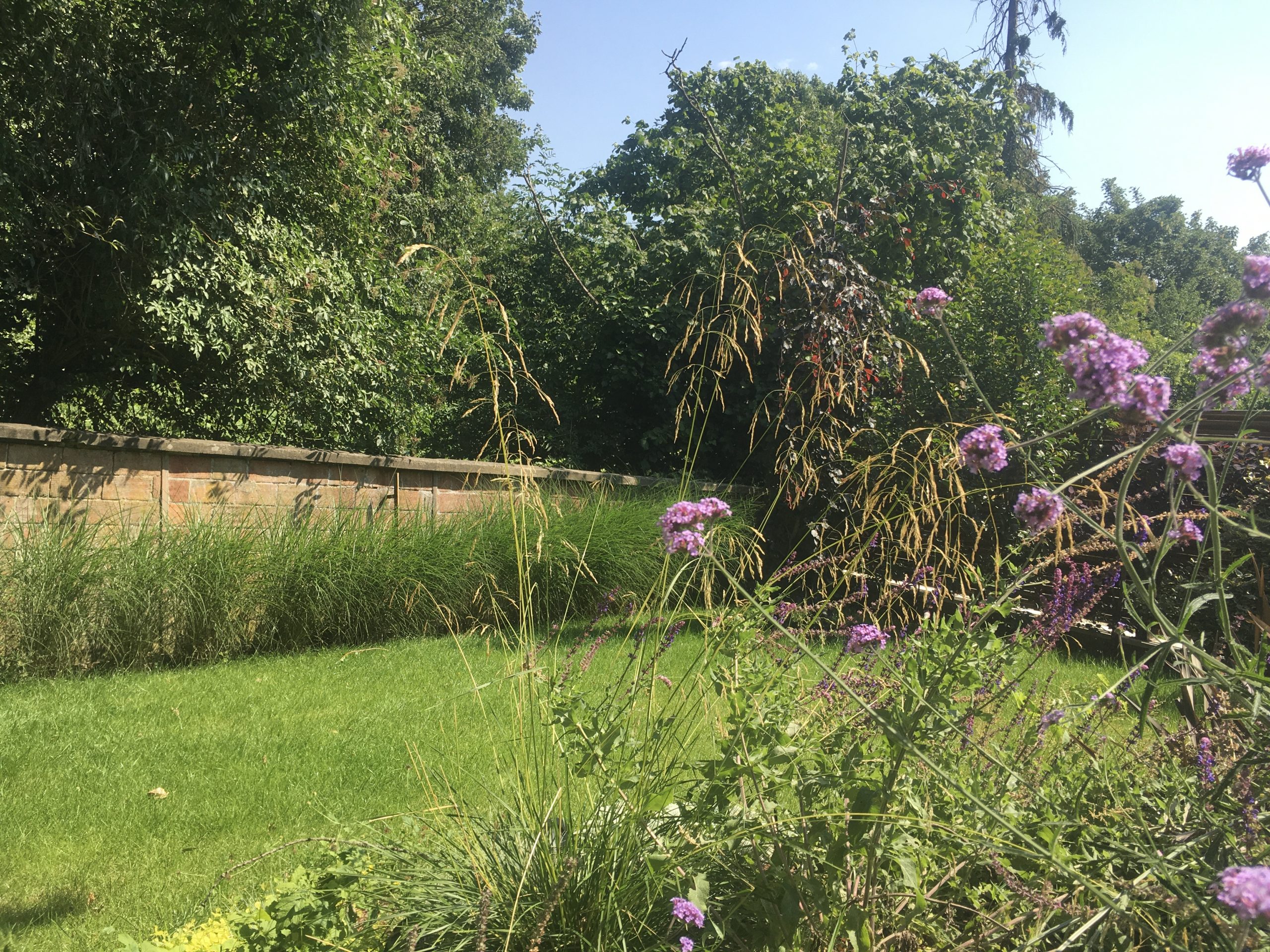 image00033