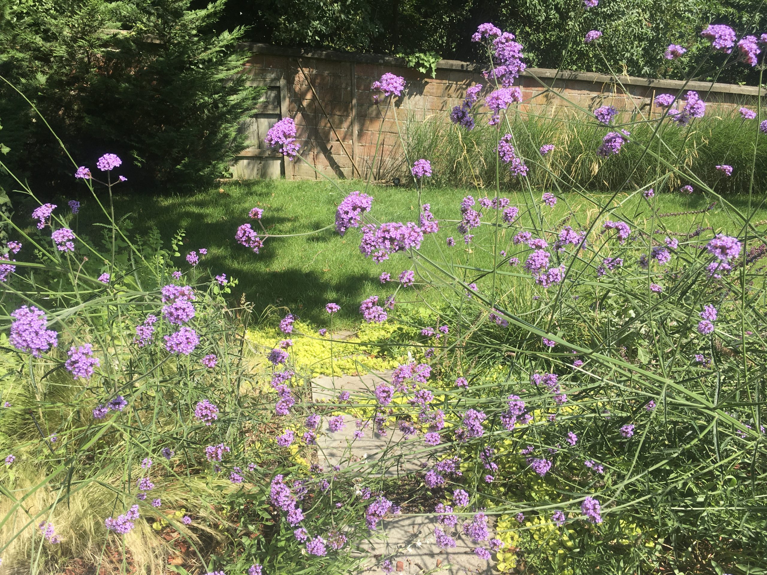 image00034