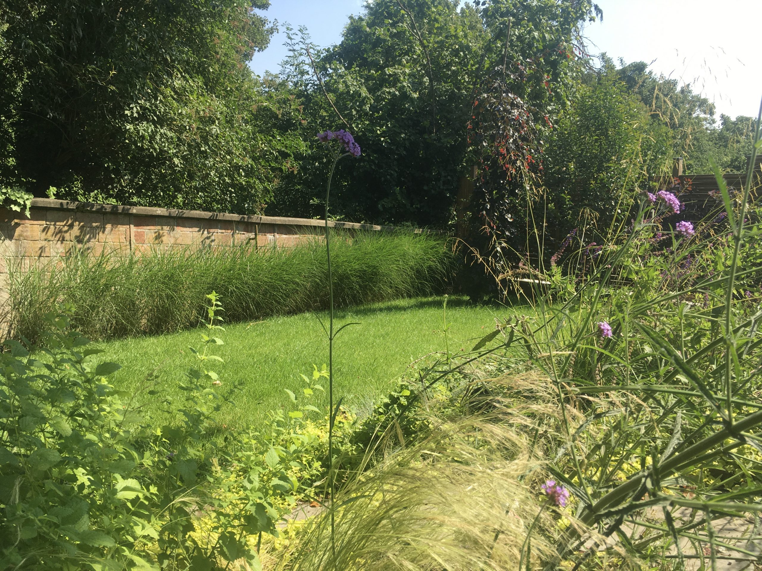image00039