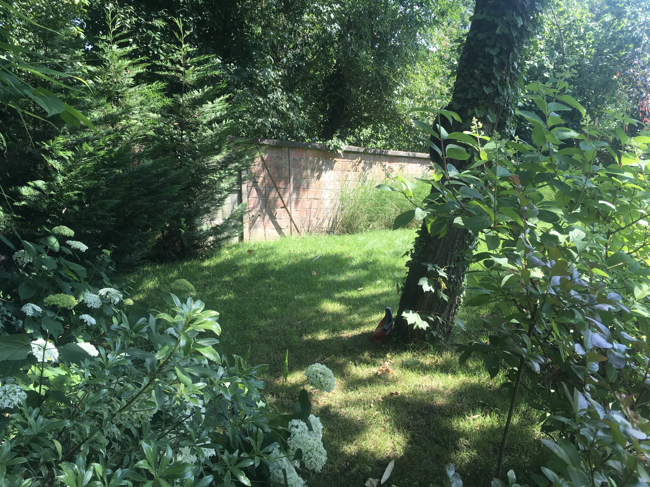image00041