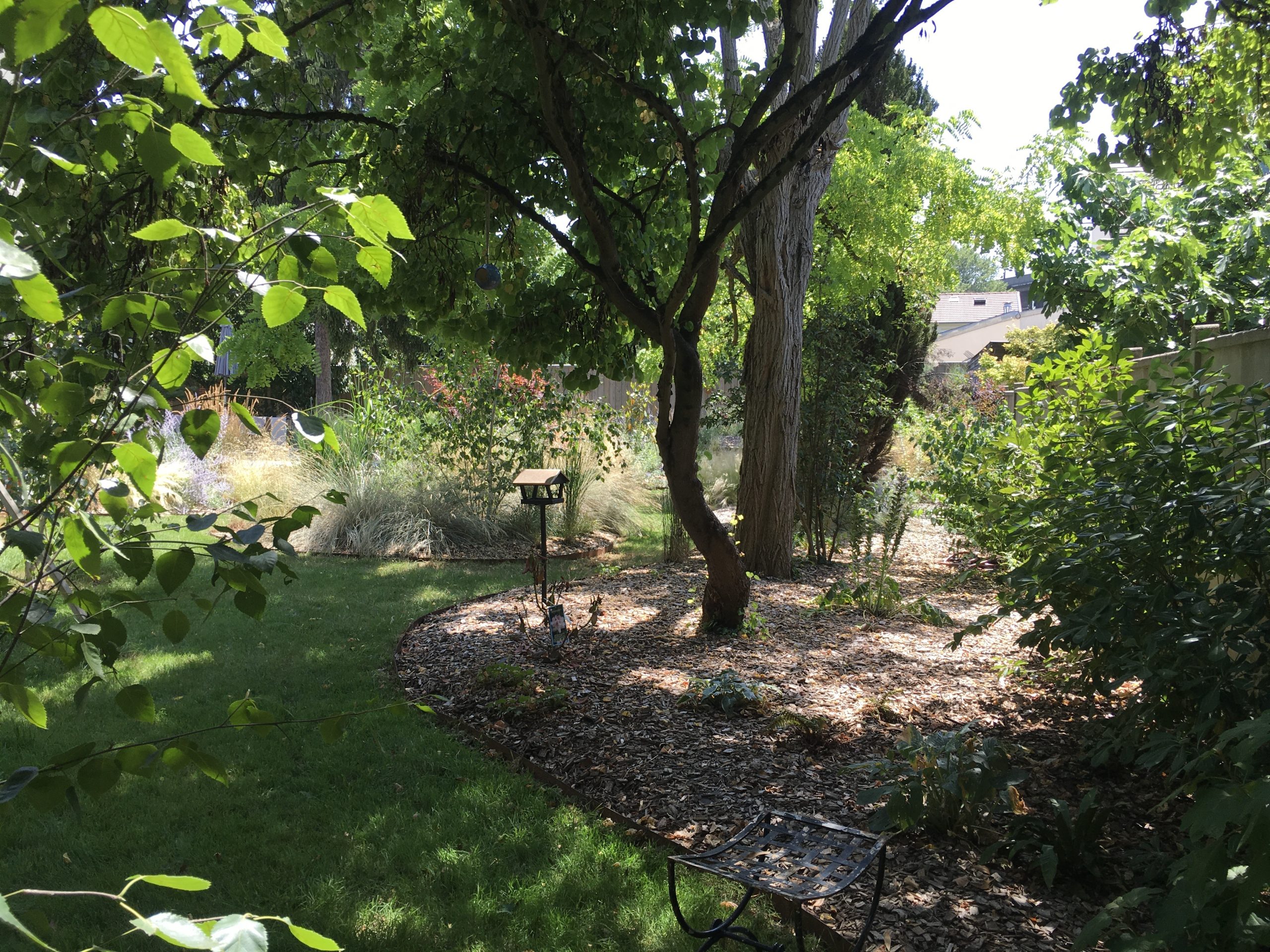 image00077